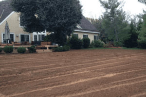 Seeding & Grading Montgomery County, PA